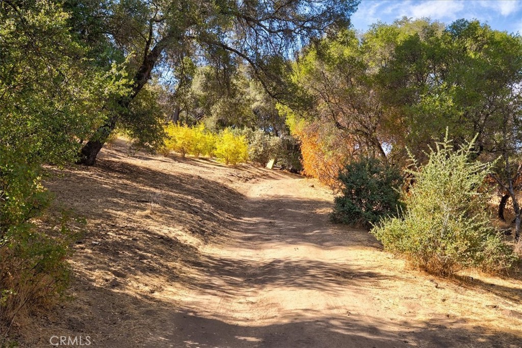 3279 Quail Run Road Mariposa, CA 95338 - Photo 24 of 41 a view of a yard with a tree