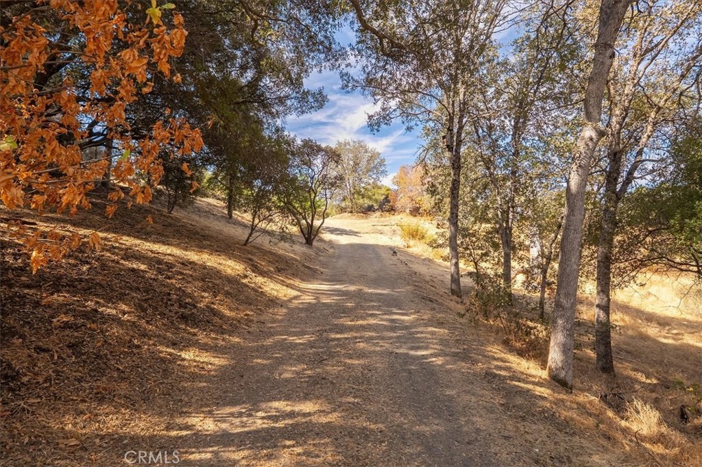 3279 Quail Run Road Mariposa, CA 95338 - Photo 27 of 41 a view of dirt yard with a large tree