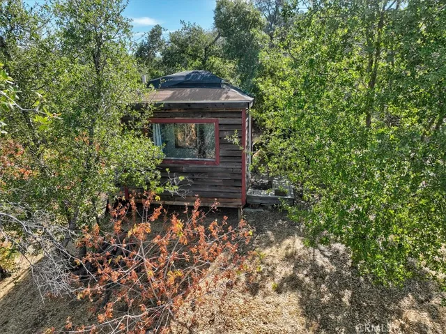 a view of a yard with a tree