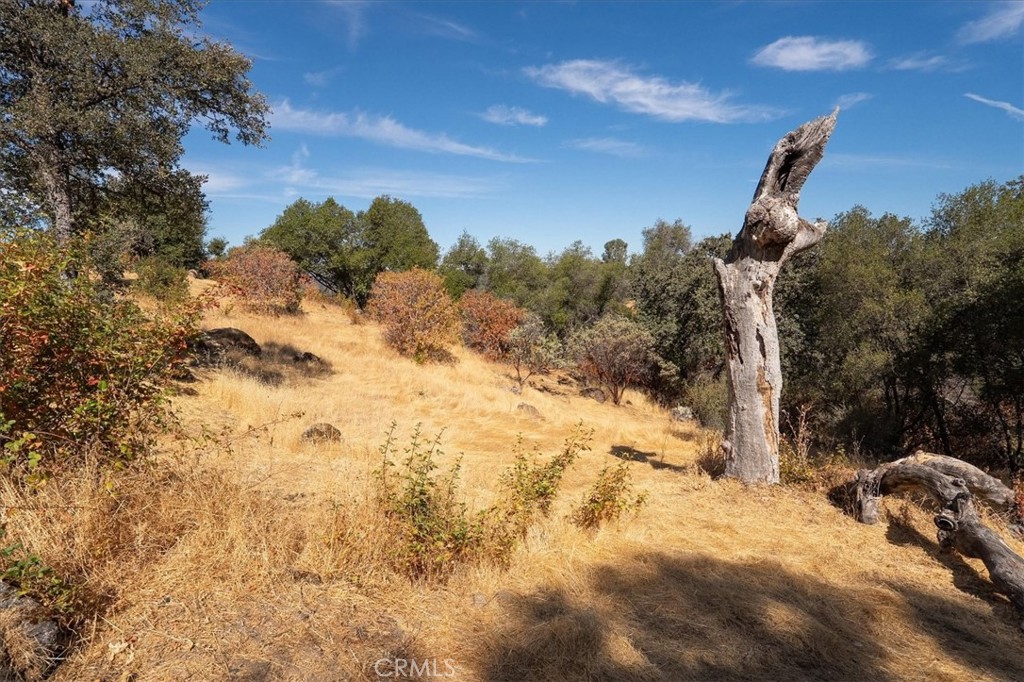 3279 Quail Run Road Mariposa, CA 95338 - Photo 29 of 41 a view of a yard covered with snow in the background