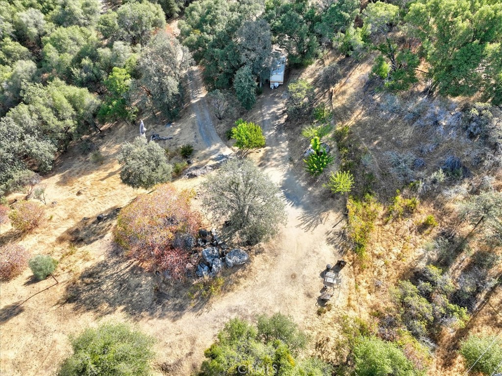 3279 Quail Run Road Mariposa, CA 95338 - Photo 30 of 41 a view of a yard with a tree