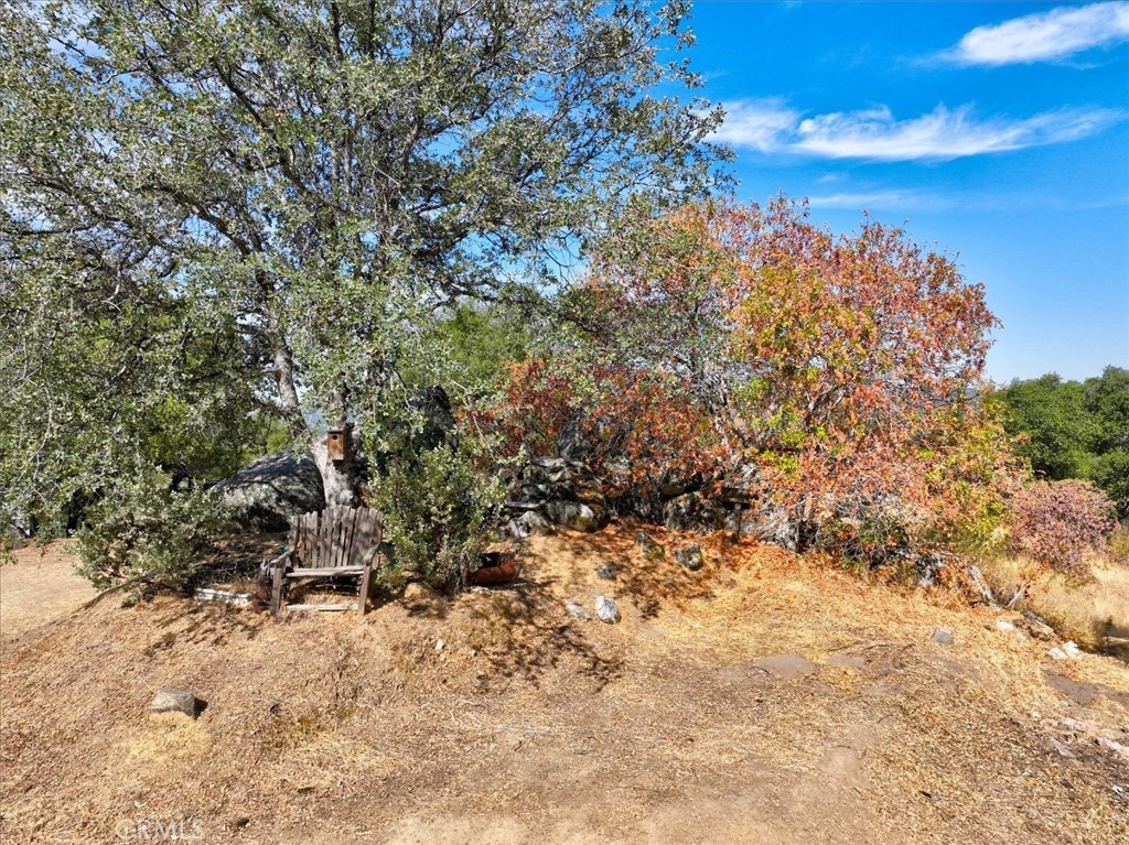 3279 Quail Run Road Mariposa, CA 95338 - Photo 36 of 41 a view of a dry yard with trees