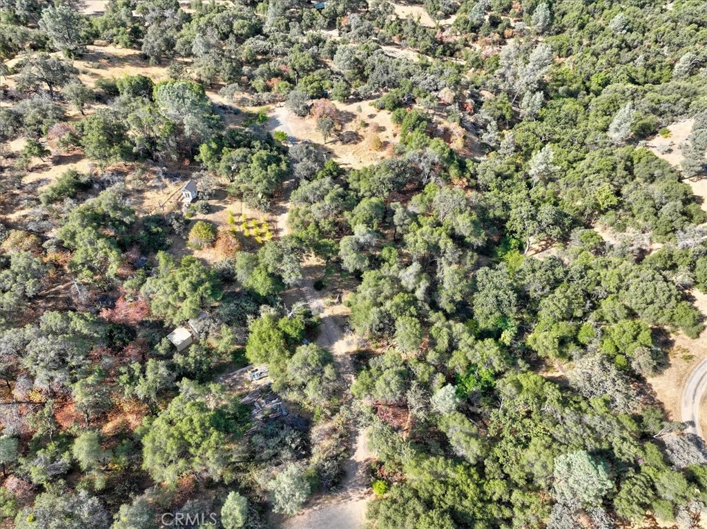 3279 Quail Run Road Mariposa, CA 95338 - Photo 38 of 41 an aerial view of a houses with a tree
