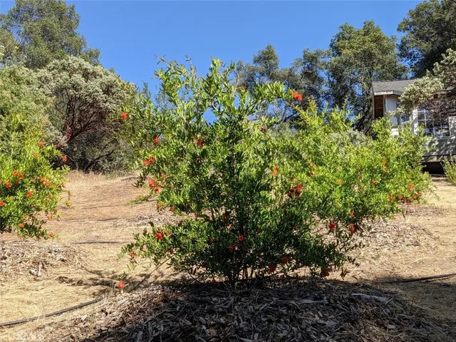 $210,000 | 3279 Quail Run Road, Mariposa, CA 95338