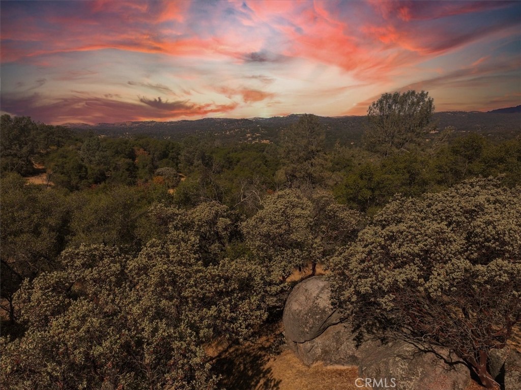 3279 Quail Run Road Mariposa, CA 95338 - Photo 8 of 41 a view of a city with lush green forest