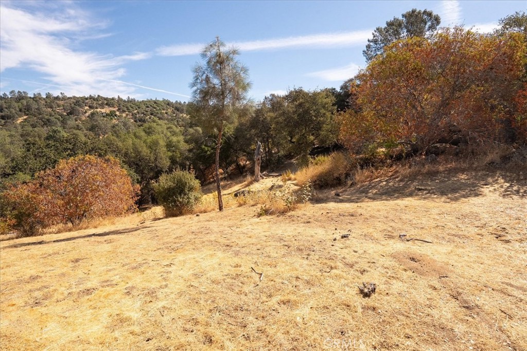 3279 Quail Run Road Mariposa, CA 95338 - Photo 10 of 41 a view of a yard covered with snow