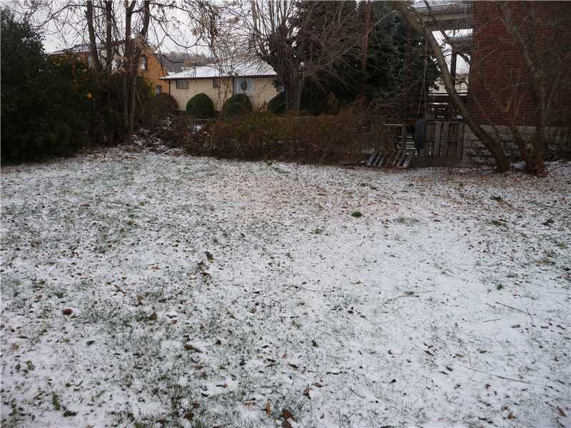 204 Copeland Street McKees Rocks, PA 15136 - Photo 20 of 25 Yard/Garden.