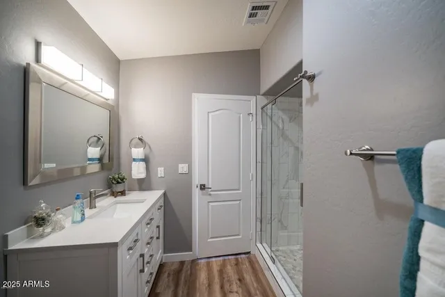 a bathroom with a sink a mirror a vanity and shower