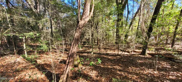 $73,499 | Lot 2 Oscar Road, Greenwood, FL 32443