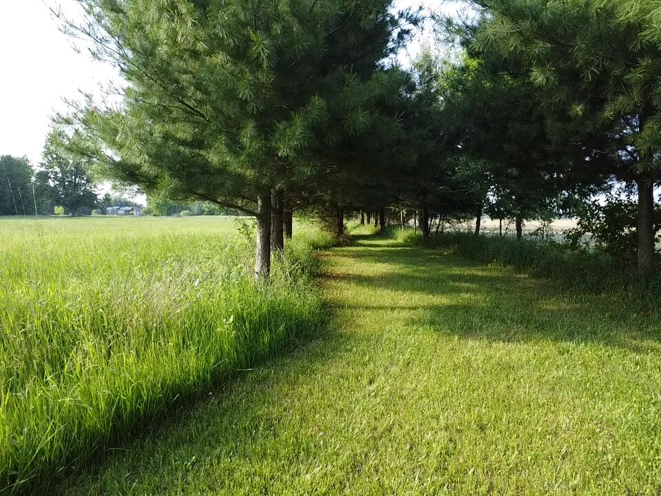 236 West Stone Road Deckerville, MI 48427 - Photo 12 of 48 2026-06-10-18-50-49-822