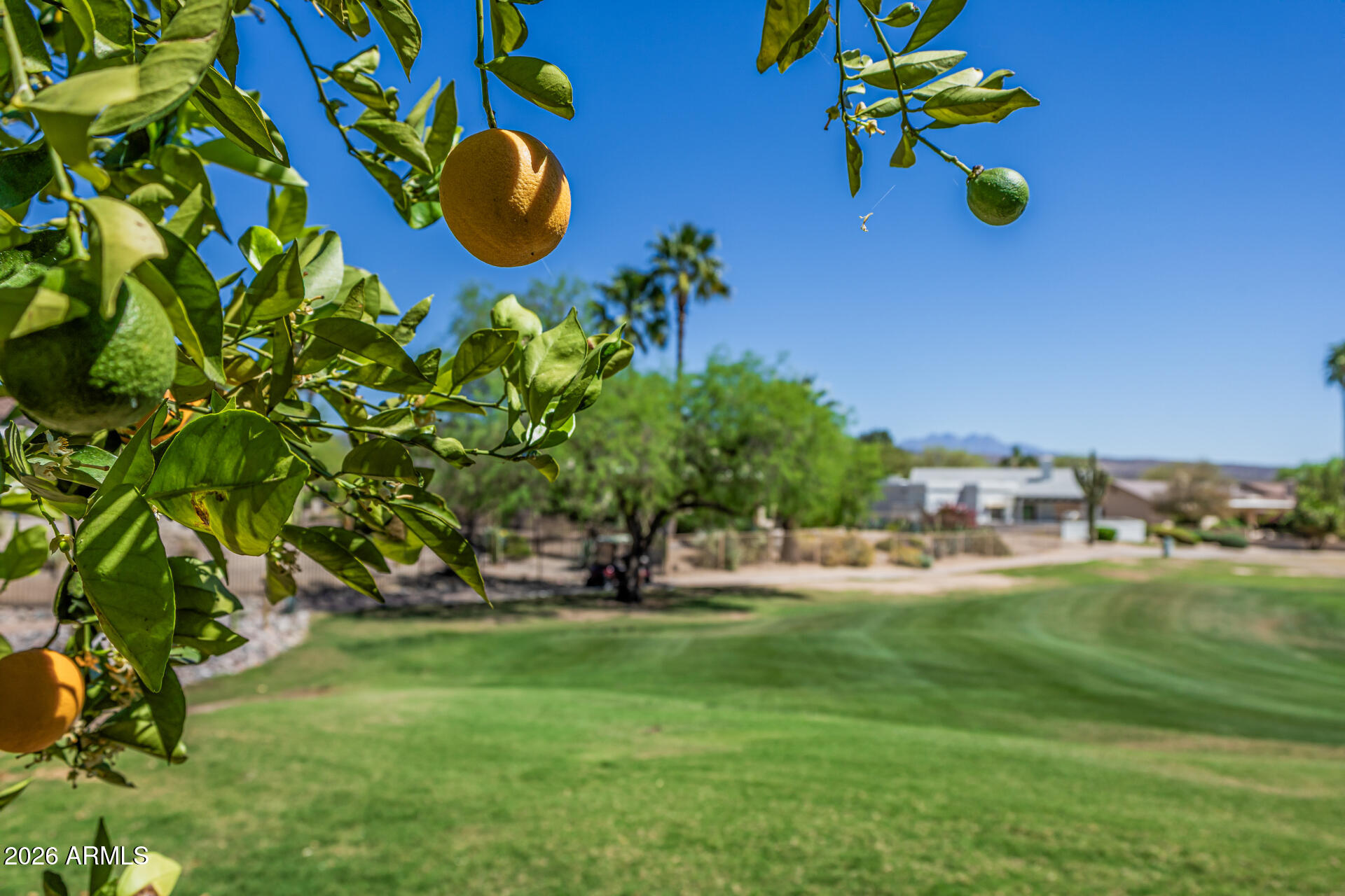 25615 North Bolero Bend, Unit 5 Rio Verde, AZ 85263 - Photo 37 of 57 a view of a yard with chairs and a table