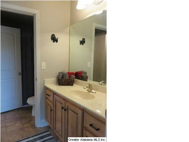 8451 Jackson Street Morris, AL 35116 - Photo 24 of 32