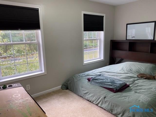 555 South Eber Road Swanton, OH 43558 - Photo 15 of 20 Gallery Image 15