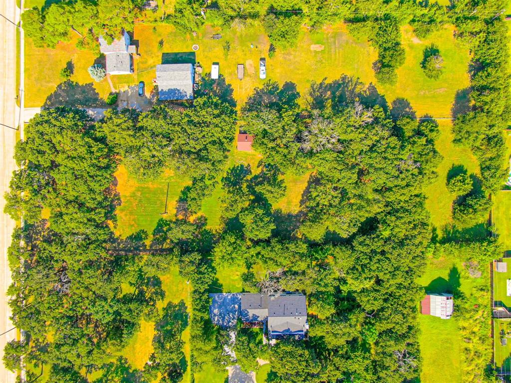 2801 Russell Road Arlington, TX 76001 - Photo 18 of 26 a view of a yard with plants and large trees