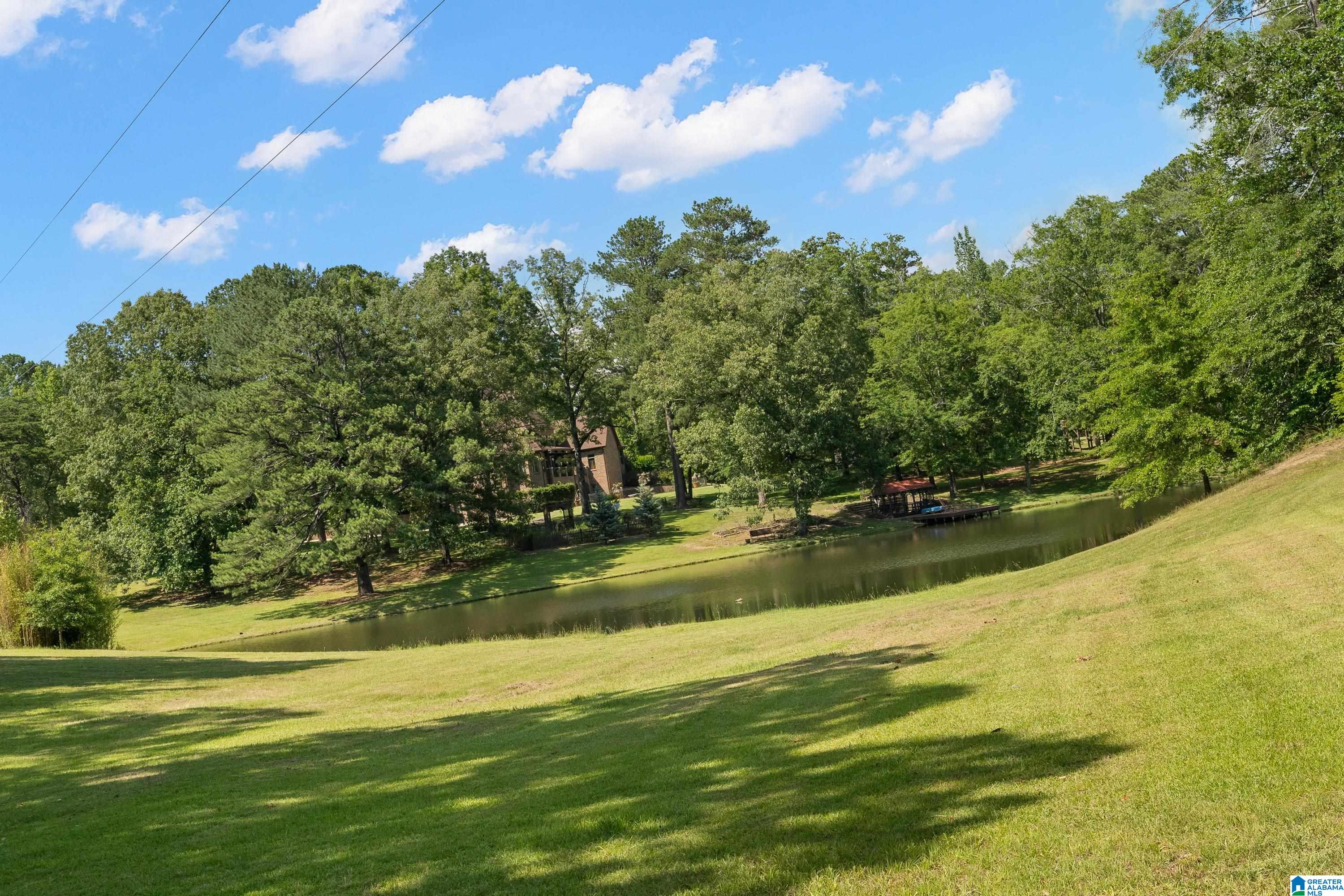 9314 Bear Creek Road Sterrett, AL 35147 - Photo 88 of 100