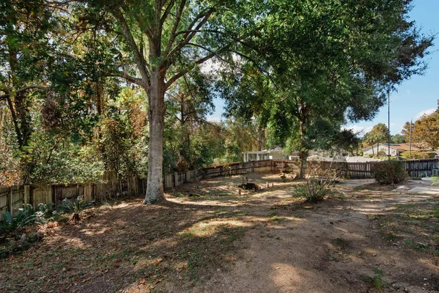 a view of a forest with trees