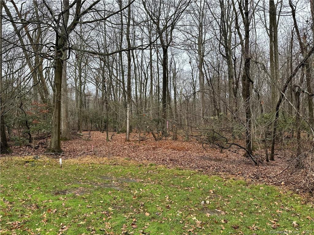 53 Michigan Road New Canaan, CT 06840 - Photo 1 of 3 a fire hydrant in the middle of a field