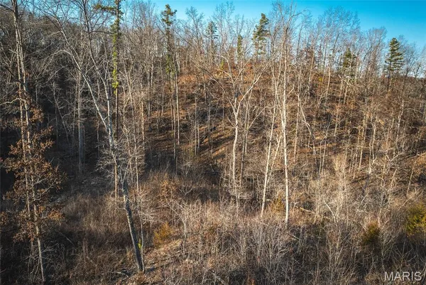 $96,000 | 0 County Road, Eminence, MO 65466