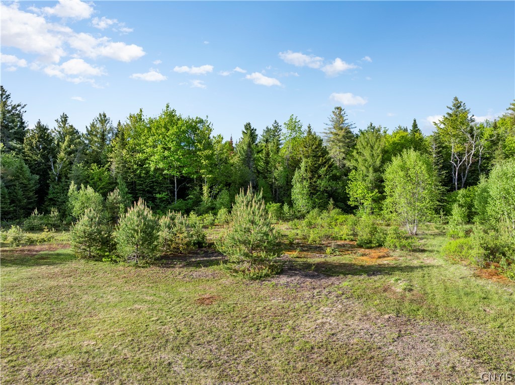 225 Lite Road Russia, NY 13338 - Photo 12 of 26