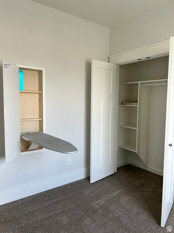 175 North 100th West Centerfield, UT 84622 - Photo 23 of 32 Built-in wall ironing board with shelving, a recessed closet with shelving, two-panel interior doors, plush carpeting, and crisp white trim. Bedroom #3.