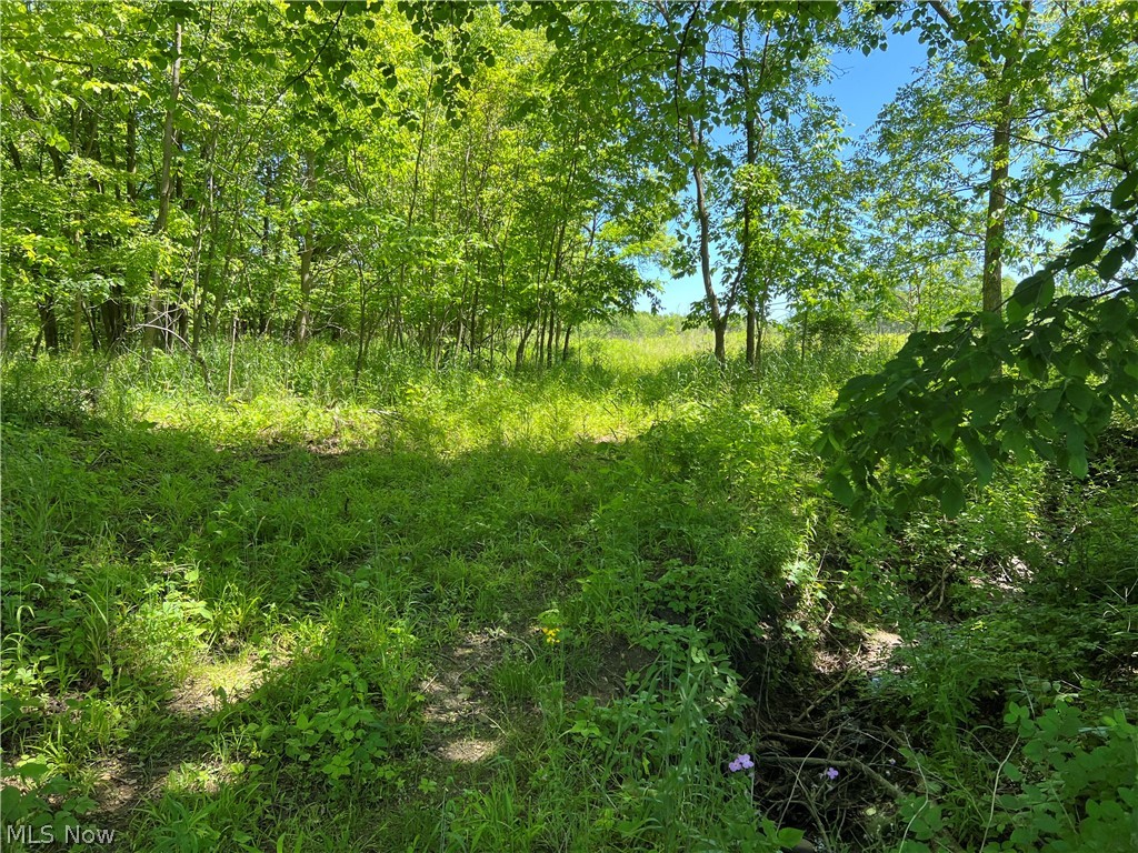 Shaw Road Spencer, OH 44275 - Photo 7 of 8