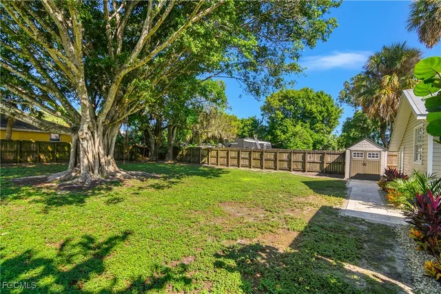 a view of a garden with a tree