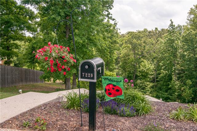 7229 Blue Ridge Drive Fairview, TN 37062 - Photo 2 of 20 Welcome Home!