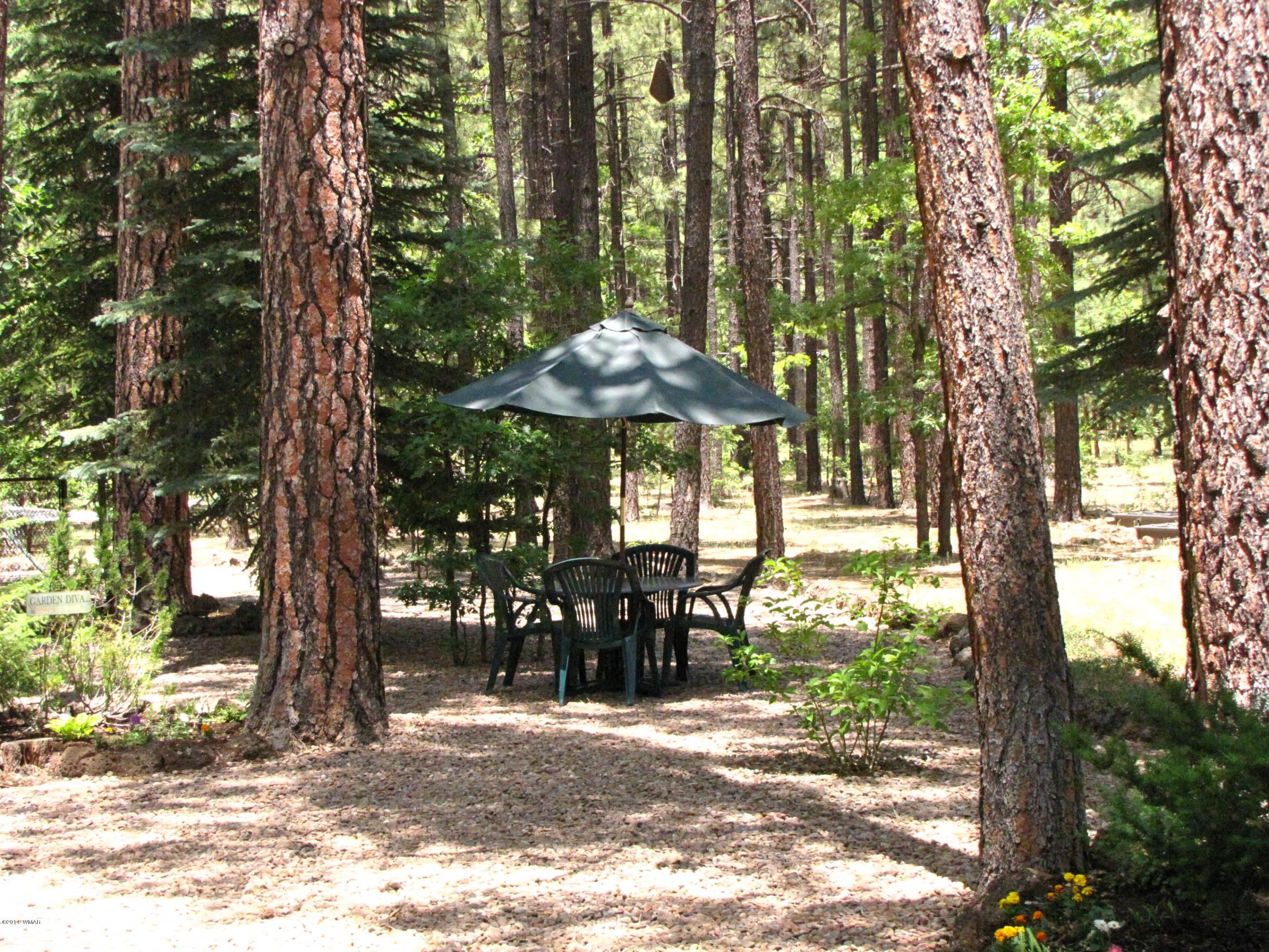 3224 Hummingbird Lane Pinetop, AZ 85935 - Photo 16 of 16