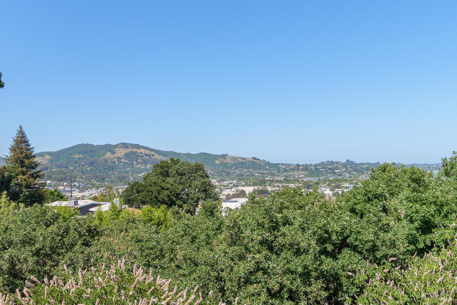132 Tiburon Boulevard San Rafael, CA 94901 - Photo 5 of 30
