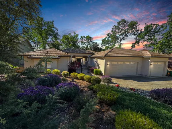 a front view of house with a garden