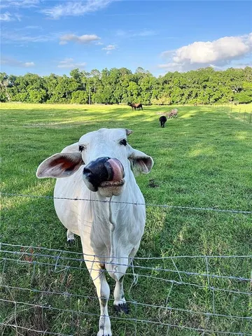 $199,900 | 4000 Southwest 23rd Street, Unit 3205, Gainesville, FL 32608