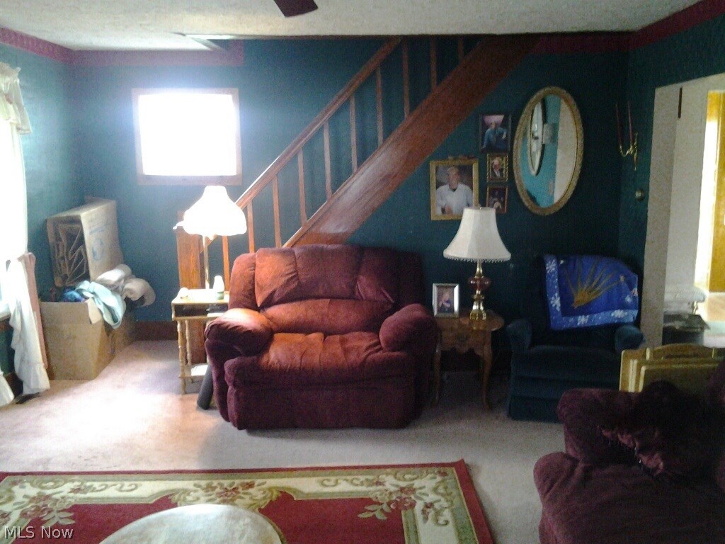 1171 Overly Road Jefferson, OH 44047 - Photo 3 of 15 Gallery Image 3