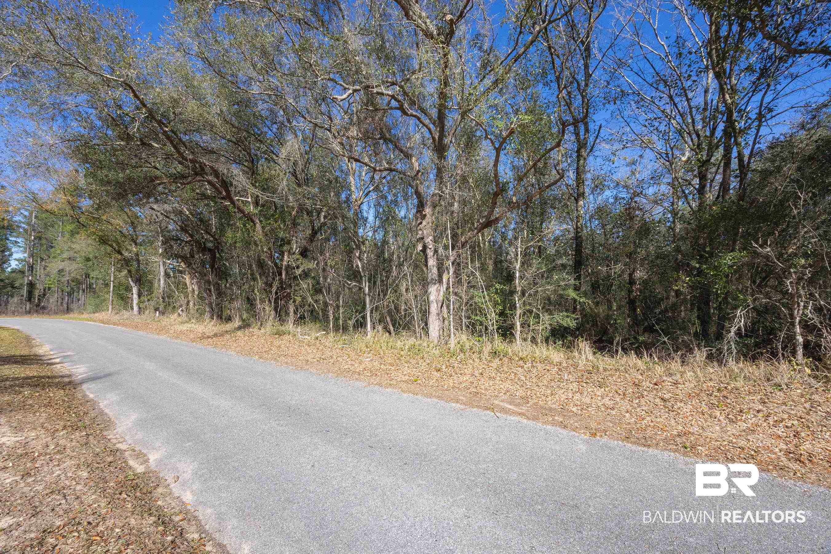 0 Downing Road Summerdale, AL 36580 - Photo 5 of 10 View of road featuring a view of trees