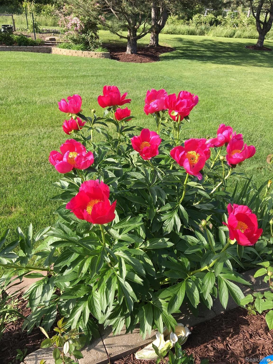 541 Lexington Drive Rochester, MI 48307 - Photo 50 of 58 Pic7.jpg