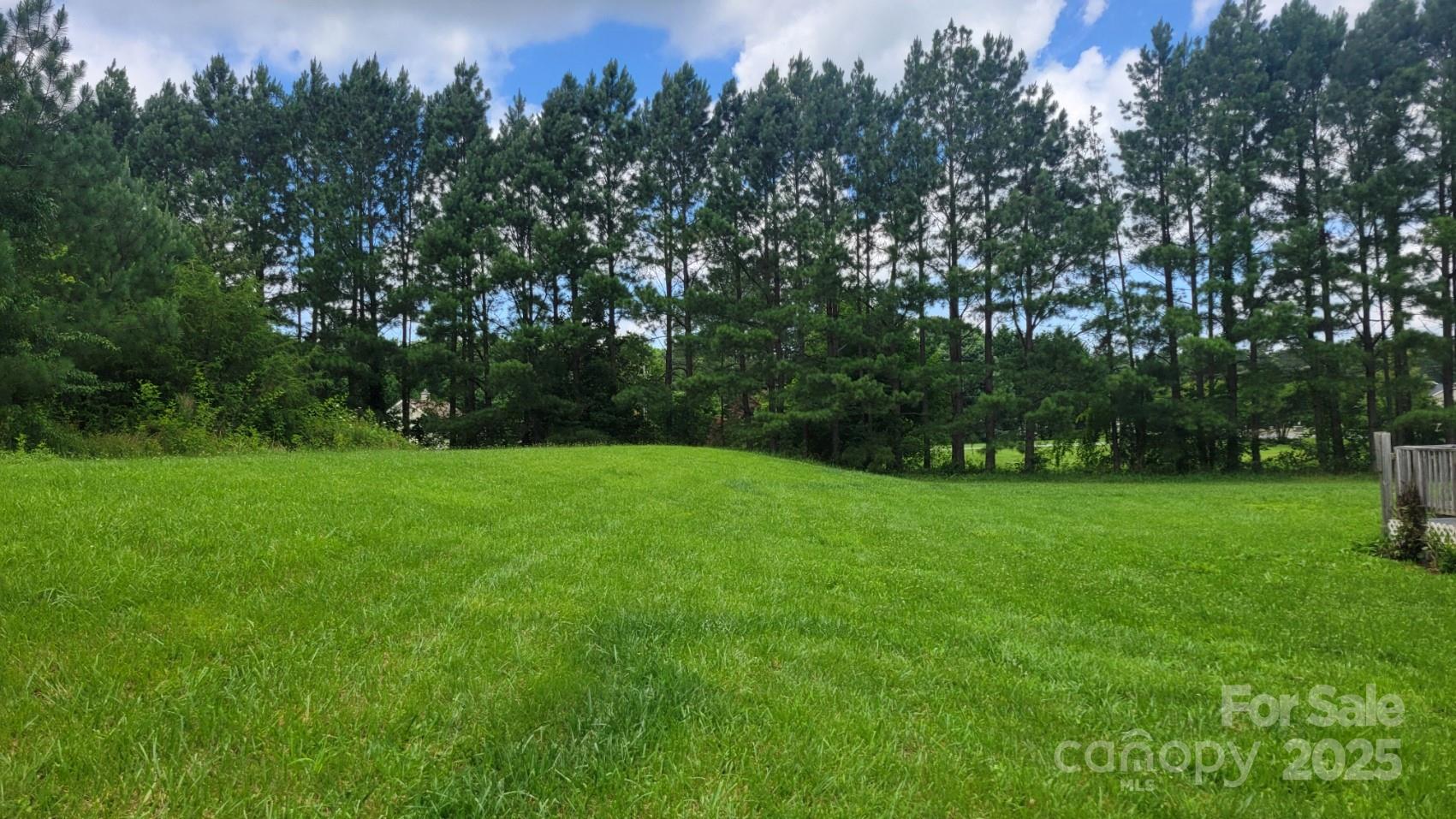 1672 Riverview Road Lincolnton, NC 28092 - Photo 4 of 15 a view of green field with trees in the background