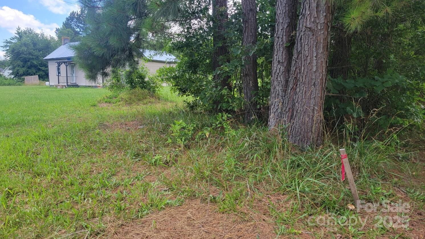 1672 Riverview Road Lincolnton, NC 28092 - Photo 6 of 15 a view of a back yard