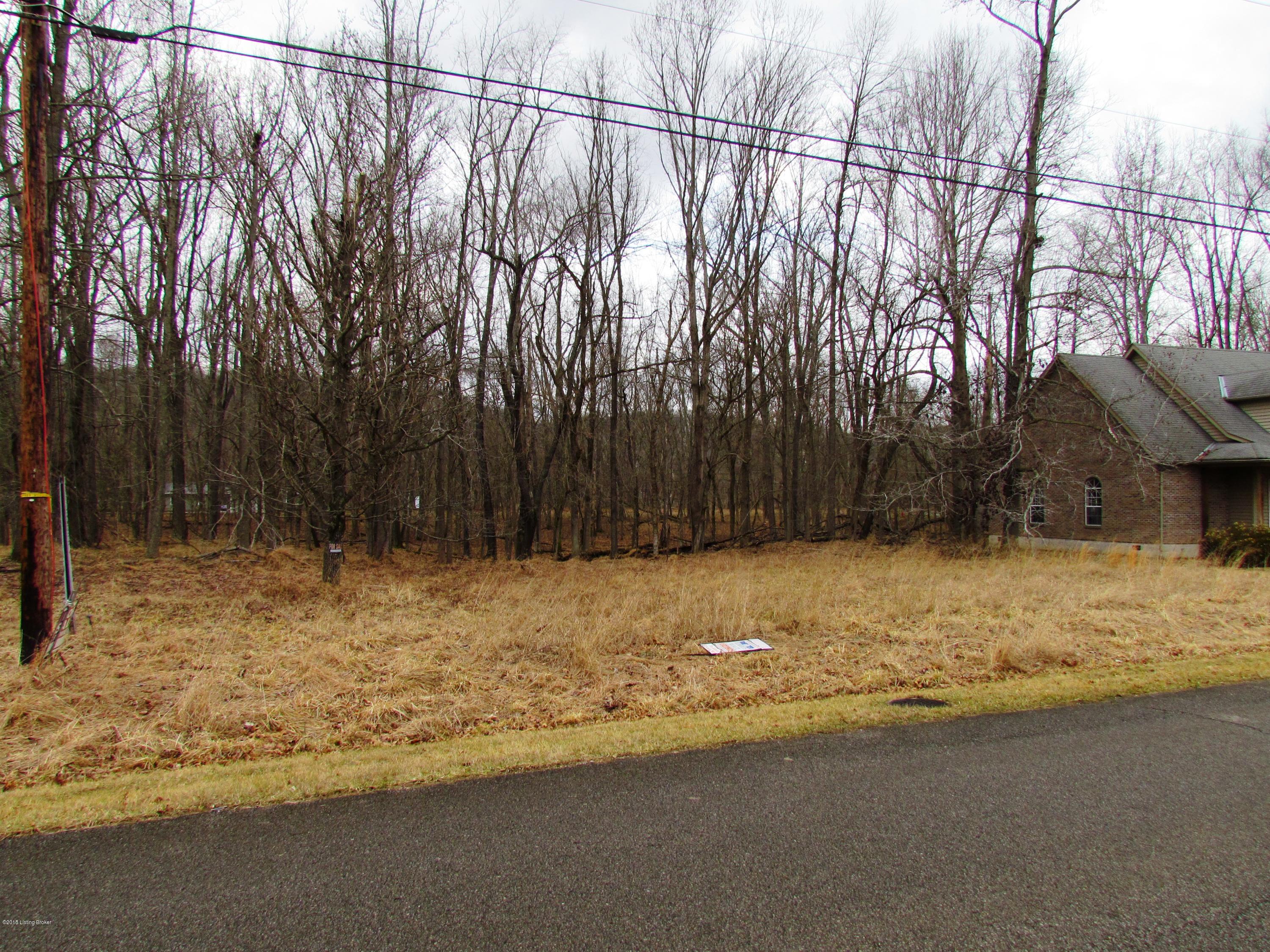 0 Inverness Road Owenton, KY 40359 - Photo 9 of 10 016