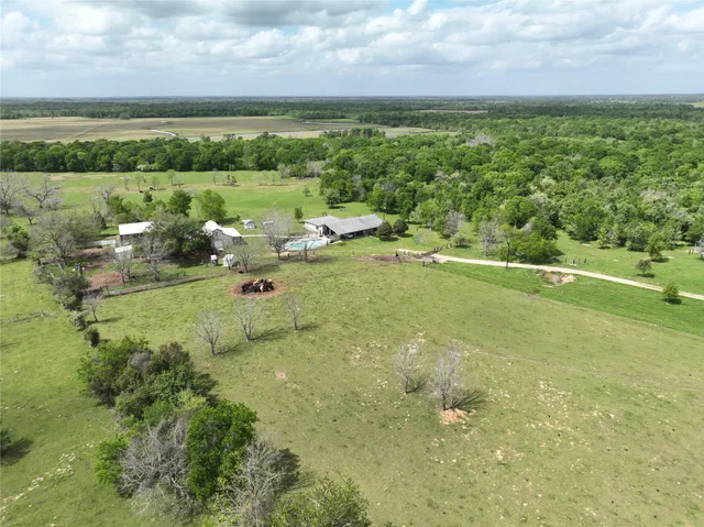 a view of a park with large trees