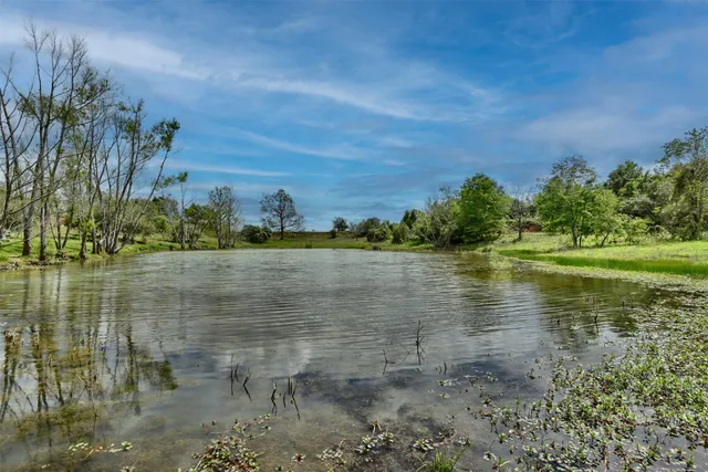 a view of a lush green space