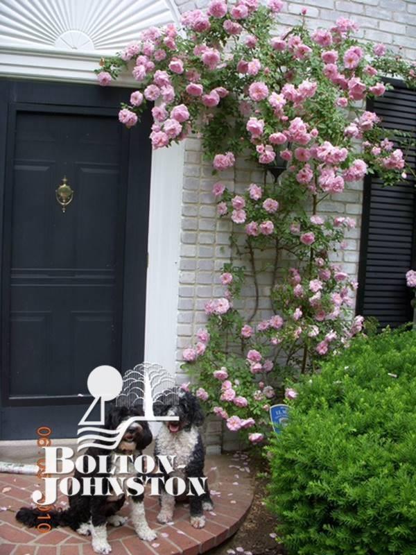 155 Vendome Road Grosse Pointe, MI 48236 - Photo 58 of 67 Front Door