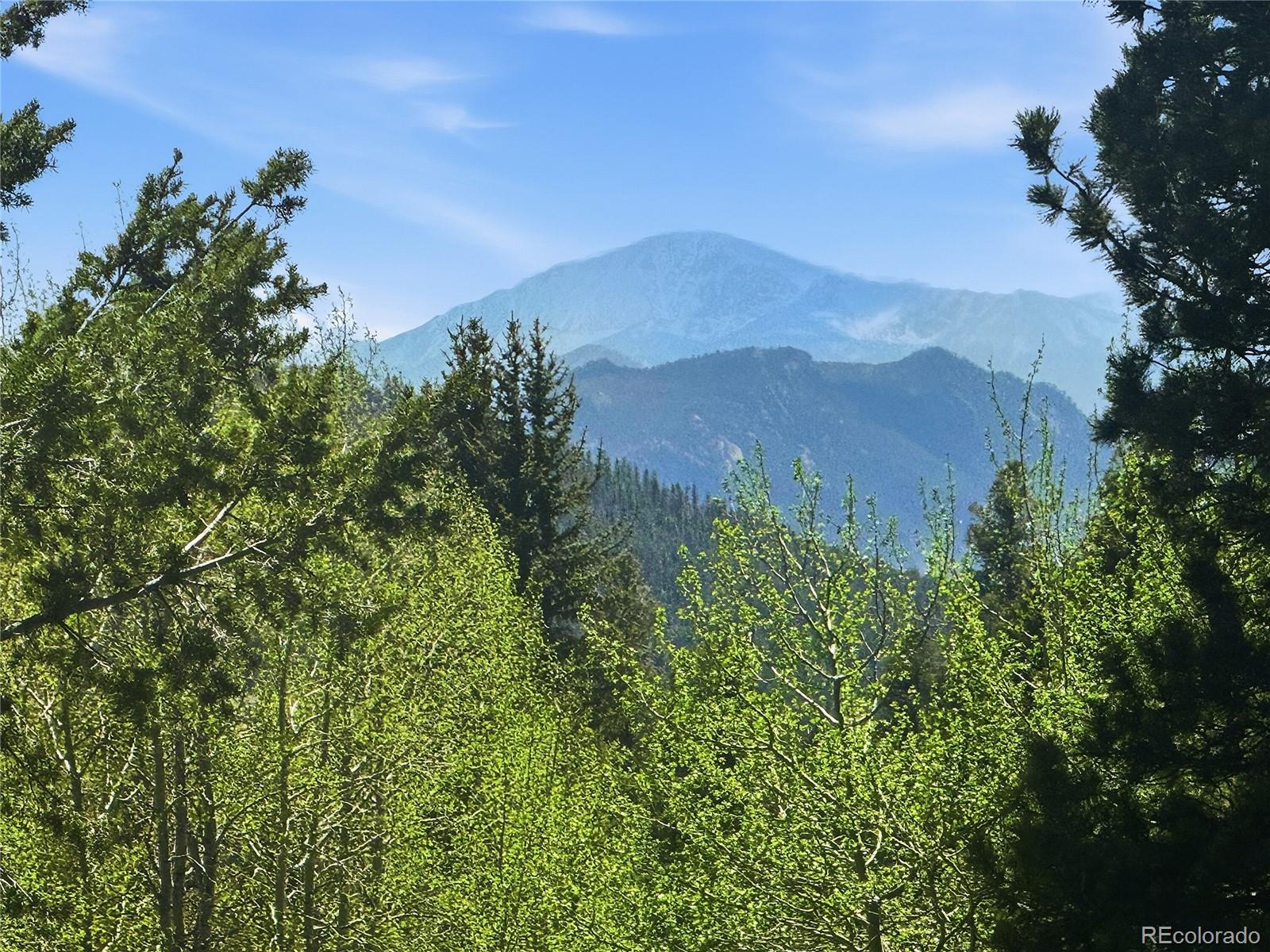 31280 Florence Road Conifer, CO 80433 - Photo 27 of 41