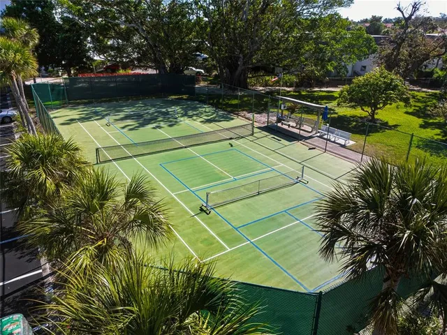 a view of a palm tree with wooden fence