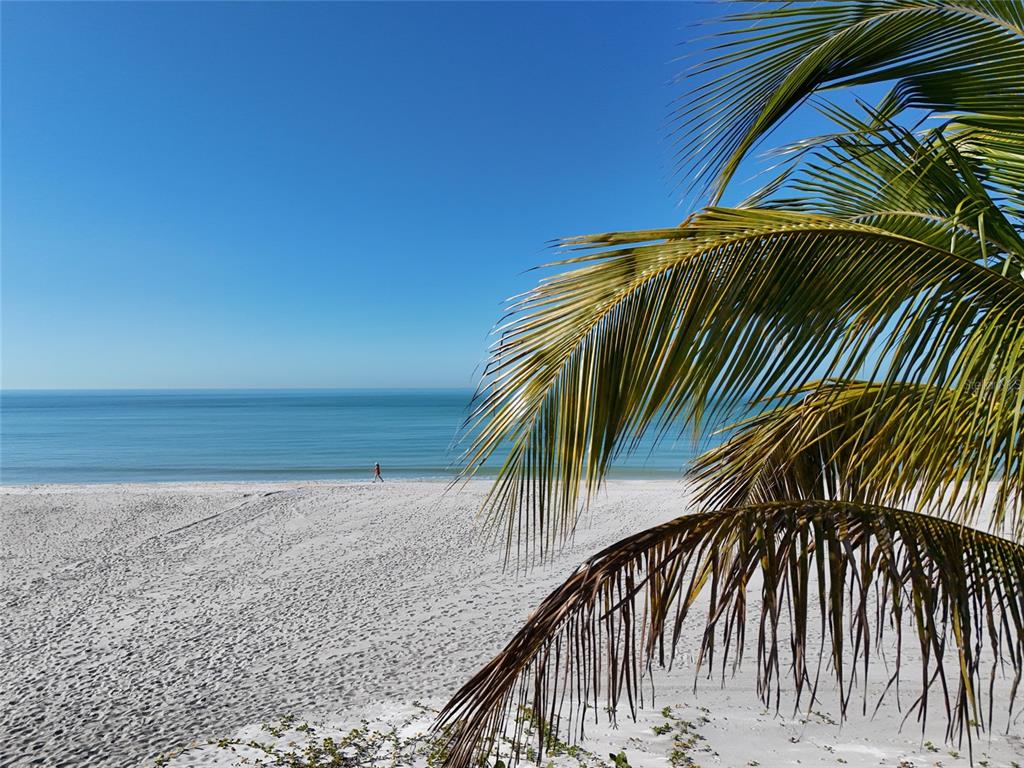 4420 Exeter Drive, Unit 303 Longboat Key, FL 34228 - Photo 38 of 42 a view of a palm tree with wooden fence