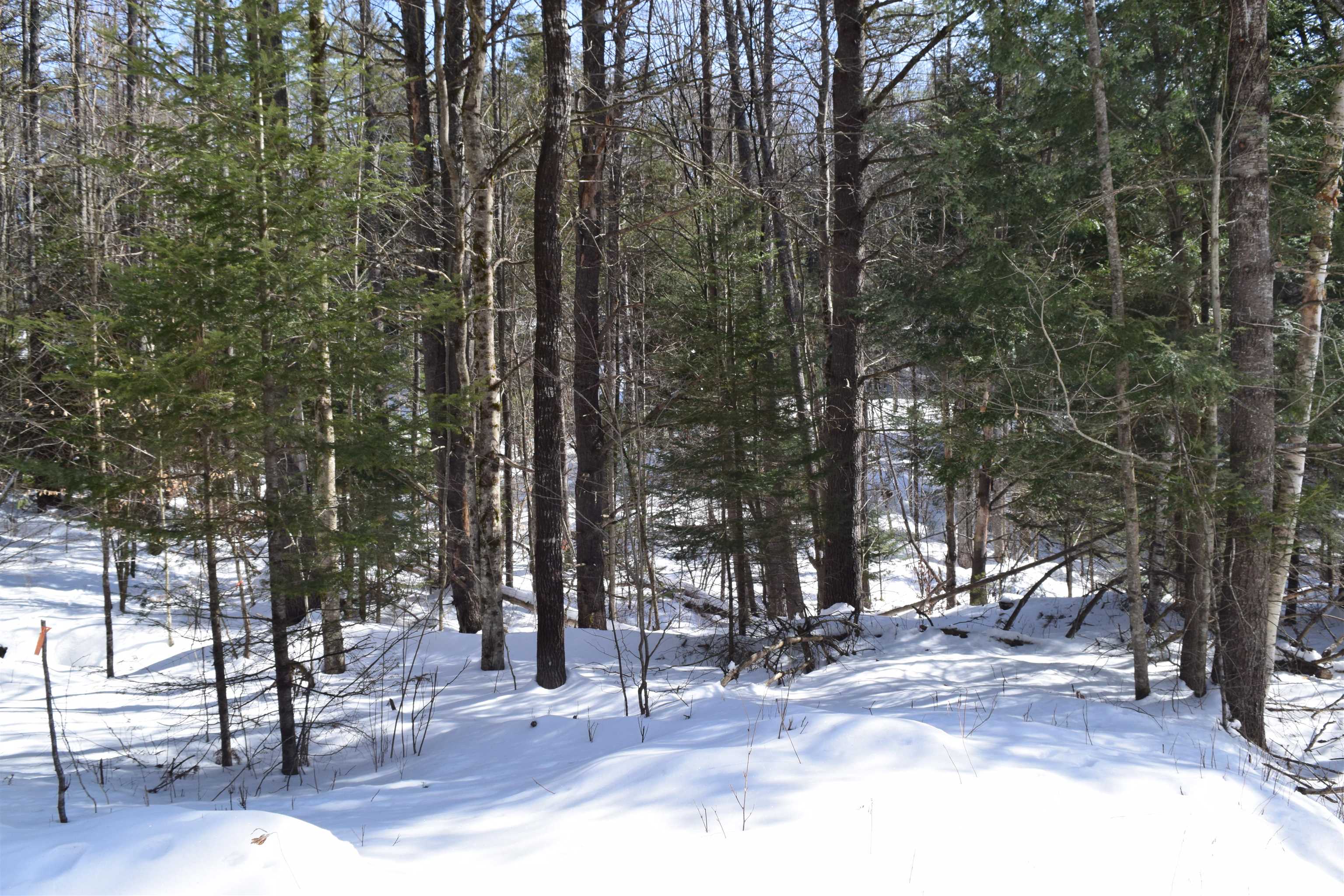 0 Perch Pond Road, Unit R15 BLOCK 00A LOT 8 OF 442 Lisbon, NH 03585 - Photo 1 of 8