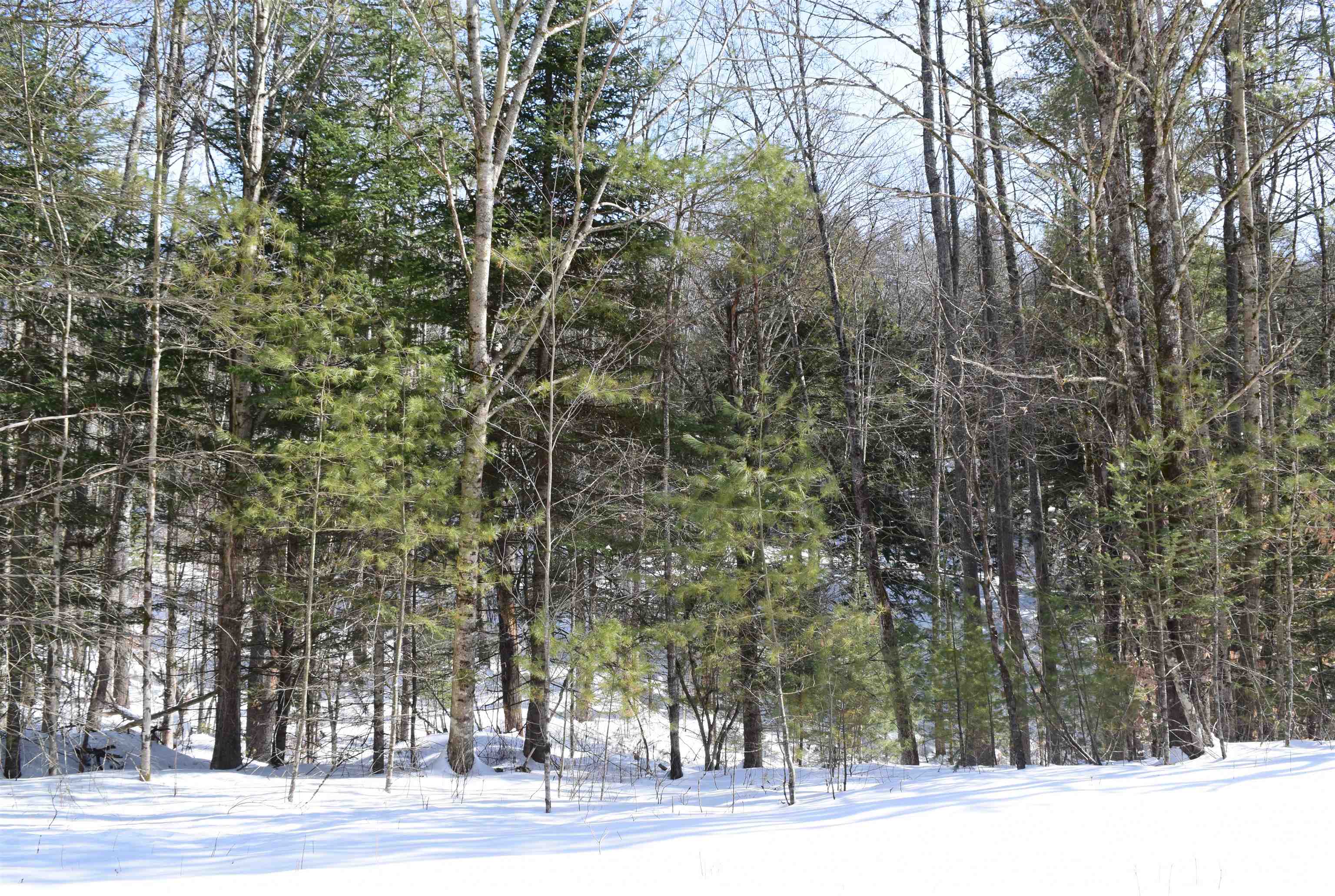 0 Perch Pond Road, Unit R15 BLOCK 00A LOT 8 OF 442 Lisbon, NH 03585 - Photo 2 of 8