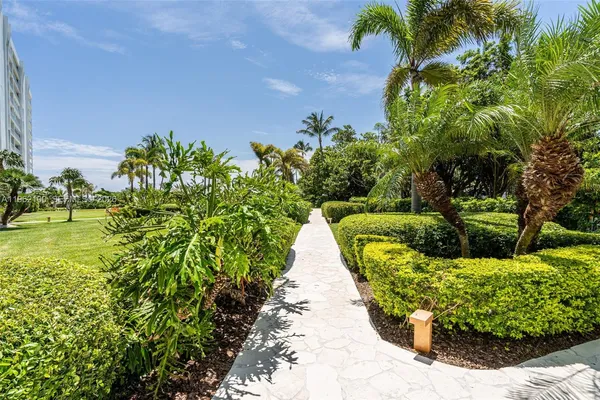 a view of a garden with plants