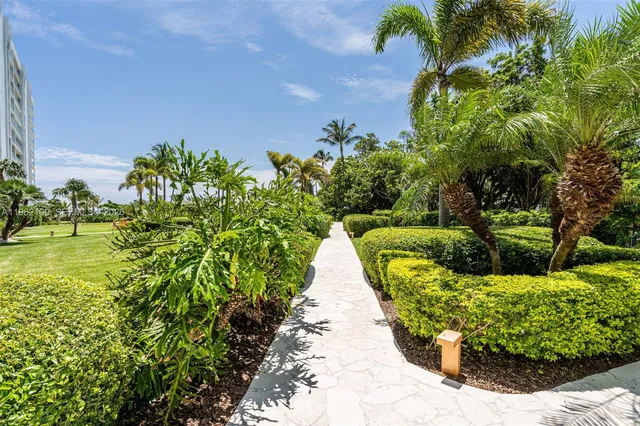 a view of a garden with plants