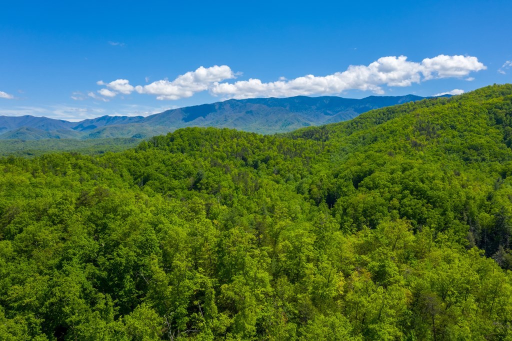 0 Henry Town Road Sevierville, TN 37876 - Photo 14 of 38 Gallery Image 14