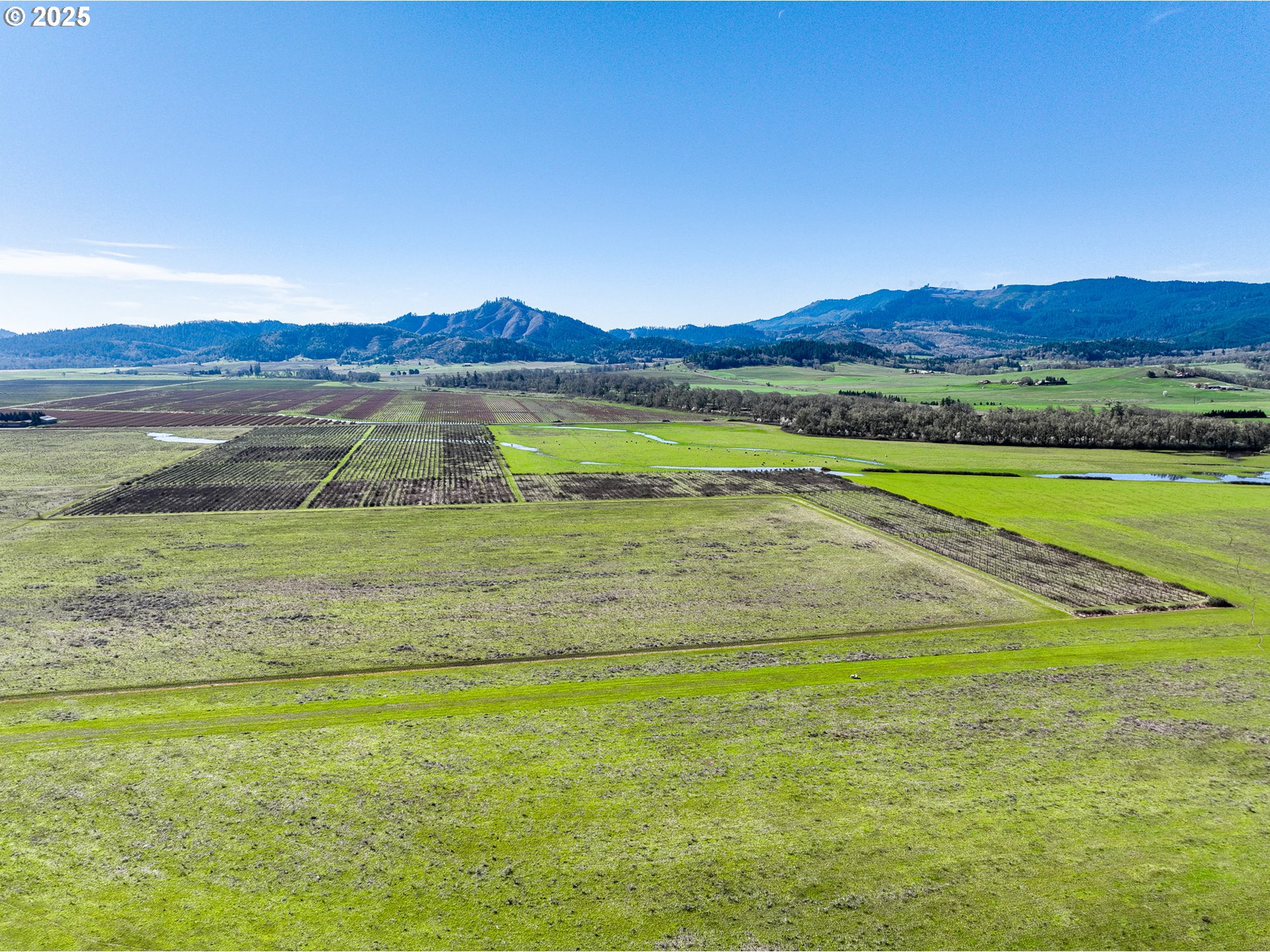 687 Hubbard Creek Road Umpqua, OR 97486 - Photo 15 of 33