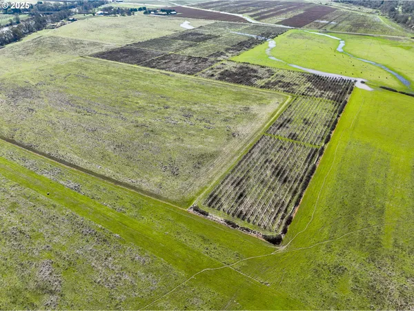 $3,500,000 | 687 Hubbard Creek Road, Umpqua, OR 97486